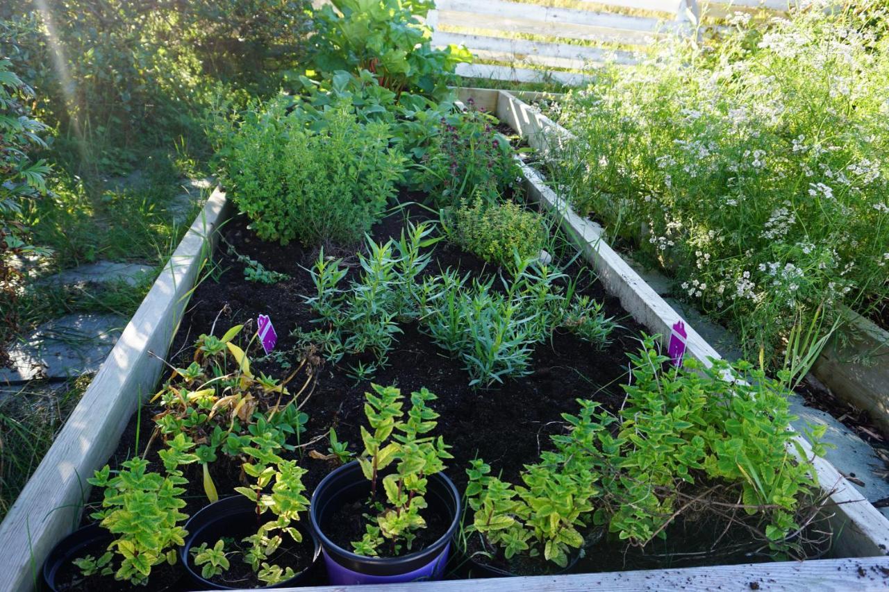 Frugga Feriehus Og Leilighet Straumsjoen エクステリア 写真