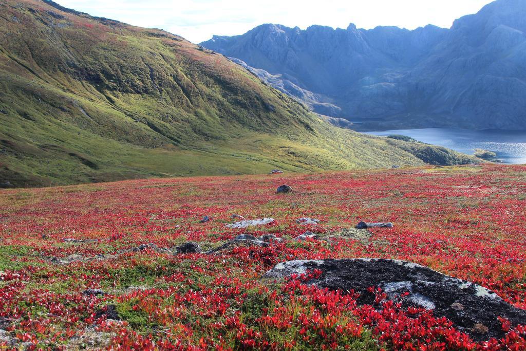 Frugga Feriehus Og Leilighet Straumsjoen エクステリア 写真